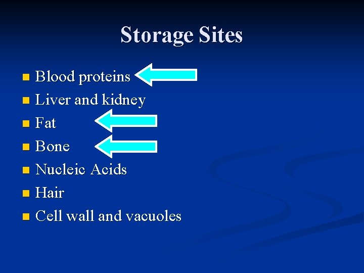 Storage Sites Blood proteins n Liver and kidney n Fat n Bone n Nucleic