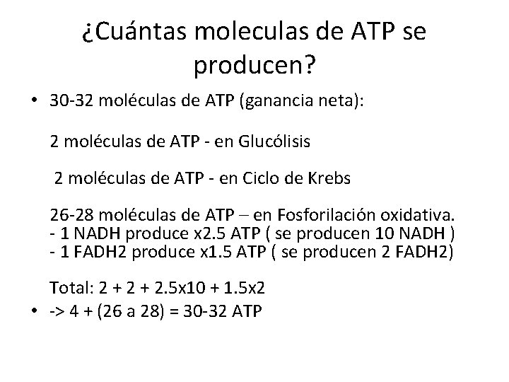 ¿Cuántas moleculas de ATP se producen? • 30 -32 moléculas de ATP (ganancia neta):