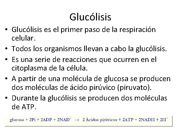 Glucólisis • Glucólisis es el primer paso de la respiración celular. • Todos los