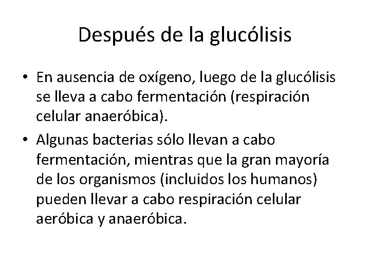 Después de la glucólisis • En ausencia de oxígeno, luego de la glucólisis se