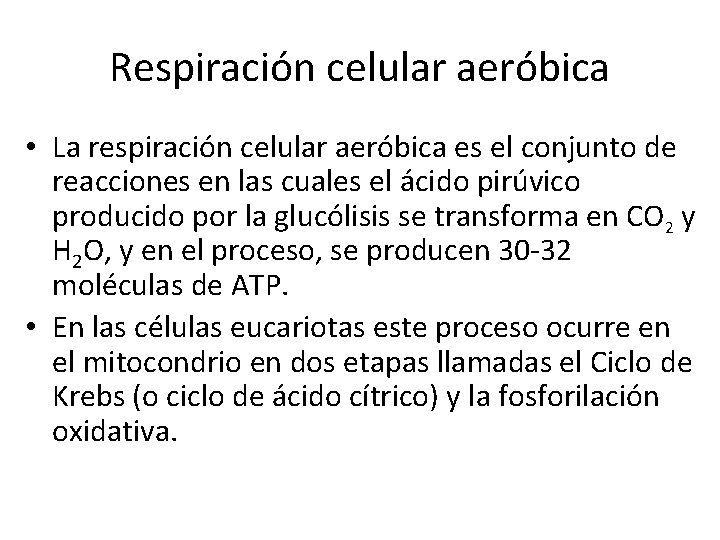 Respiración celular aeróbica • La respiración celular aeróbica es el conjunto de reacciones en
