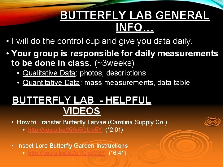 BUTTERFLY LAB GENERAL INFO… • I will do the control cup and give you