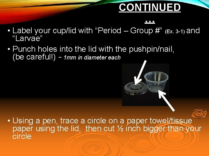 CONTINUED … • Label your cup/lid with “Period – Group #” (Ex. 3 -1)