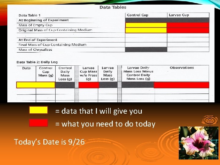 N/A N/A N/A = data that I will give you = what you need