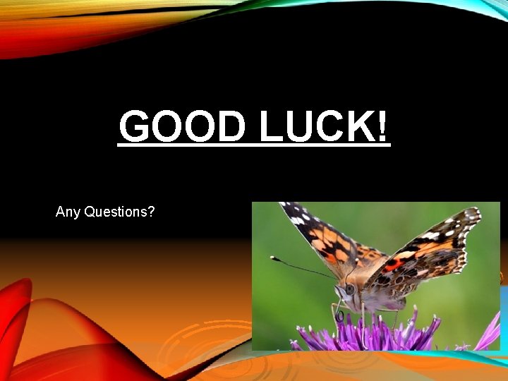 GOOD LUCK! Any Questions? 