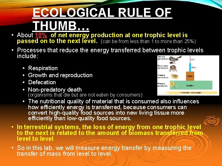 ECOLOGICAL RULE OF THUMB… • About 10% of net energy production at one trophic