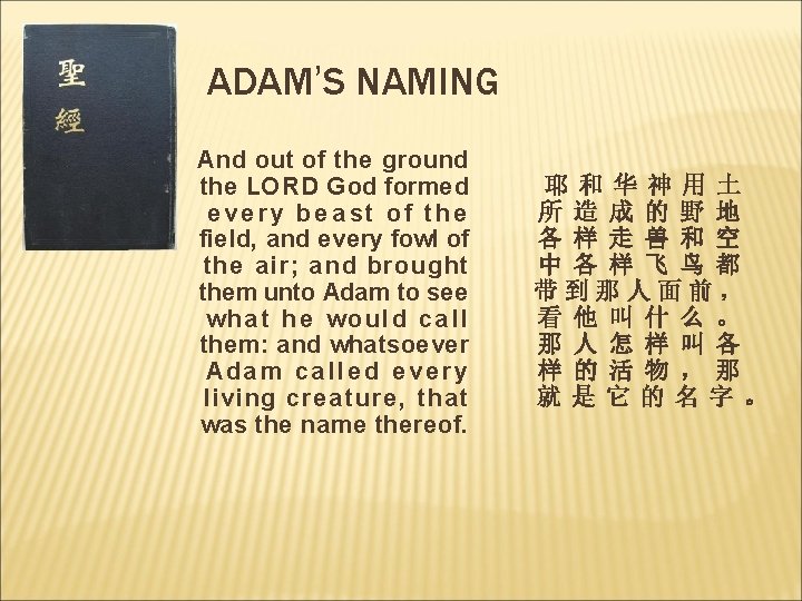ADAM’S NAMING And out of the ground the LORD God formed e ve ry