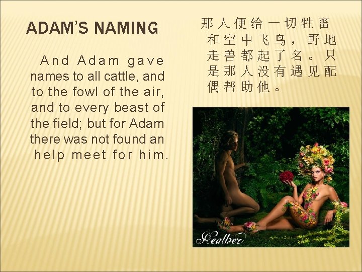 ADAM’S NAMING And Adam gave names to all cattle, and to the fowl of