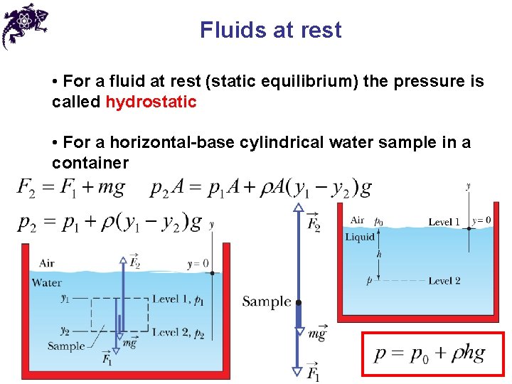 Fluids at rest • For a fluid at rest (static equilibrium) the pressure is