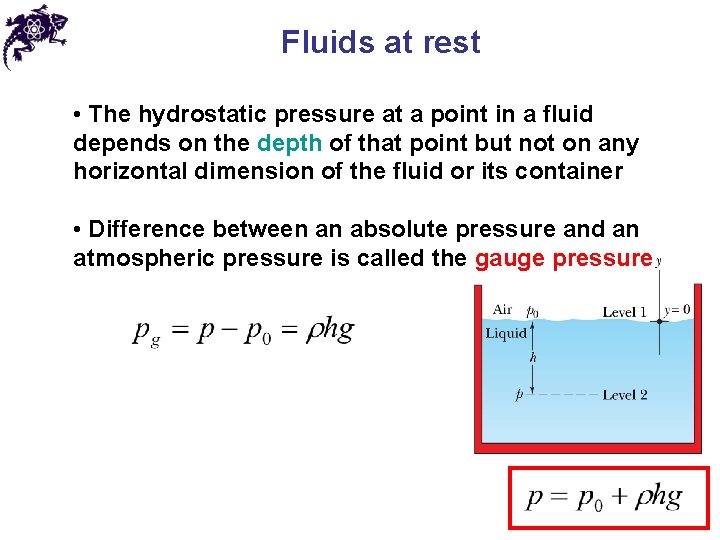 Fluids at rest • The hydrostatic pressure at a point in a fluid depends