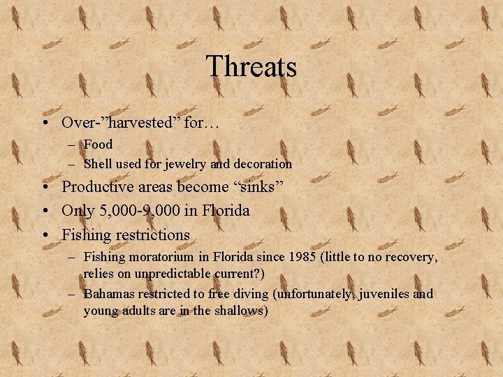 Threats • Over-”harvested” for… – Food – Shell used for jewelry and decoration •