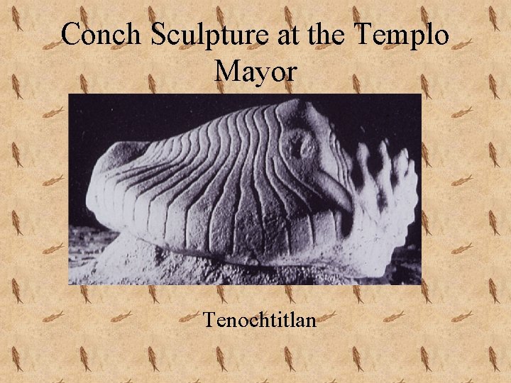 Conch Sculpture at the Templo Mayor Tenochtitlan 