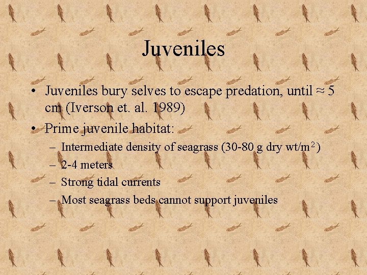 Juveniles • Juveniles bury selves to escape predation, until ≈ 5 cm (Iverson et.