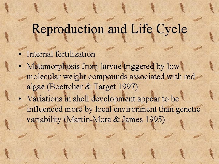 Reproduction and Life Cycle • Internal fertilization • Metamorphosis from larvae triggered by low