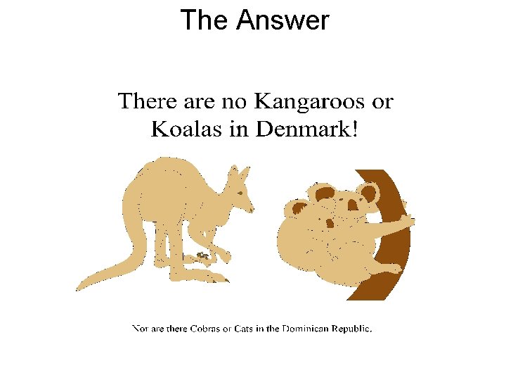 The Answer 