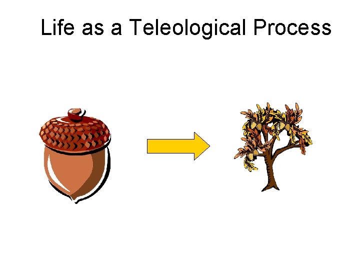 Life as a Teleological Process 
