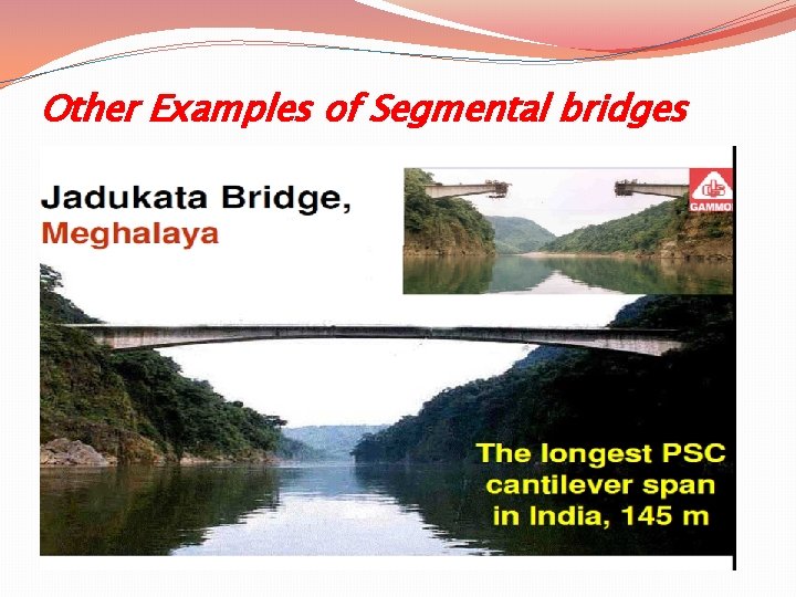 Other Examples of Segmental bridges 