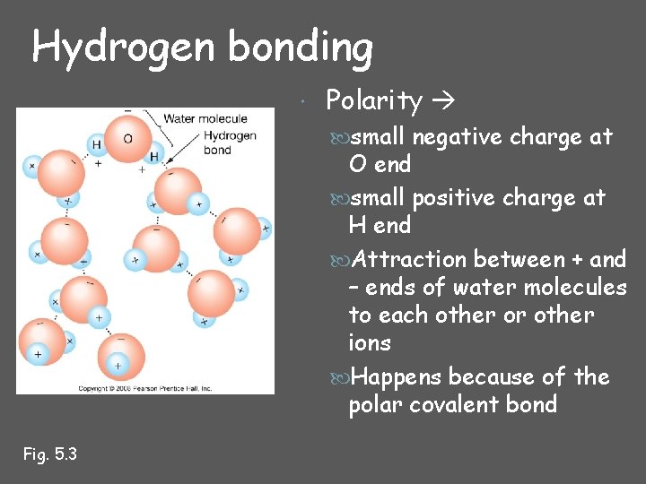 Hydrogen bonding Polarity small negative charge at O end small positive charge at H