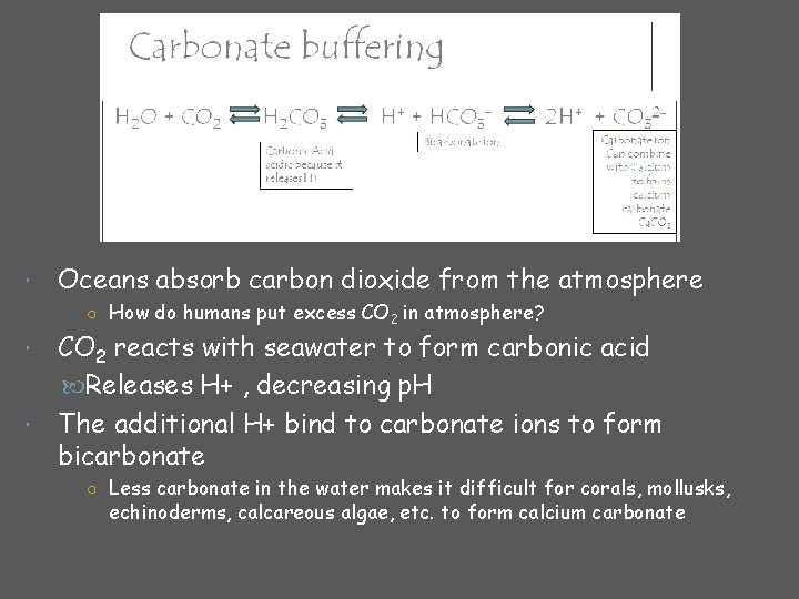  Oceans absorb carbon dioxide from the atmosphere ○ How do humans put excess