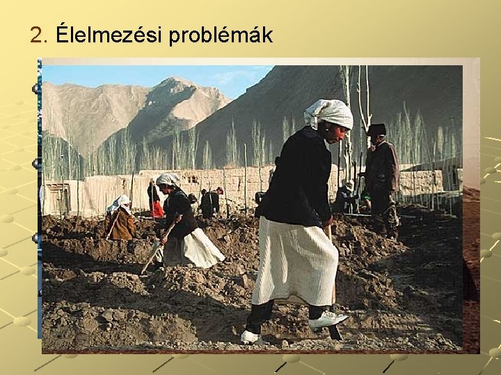 2. Élelmezési problémák A globális világproblémák legkegyetlenebbike, mintegy 500 millióra tehető azok száma, akik 2. Élelmezési problémák A globális világproblémák legkegyetlenebbike, mintegy 500 millióra tehető azok száma, akik