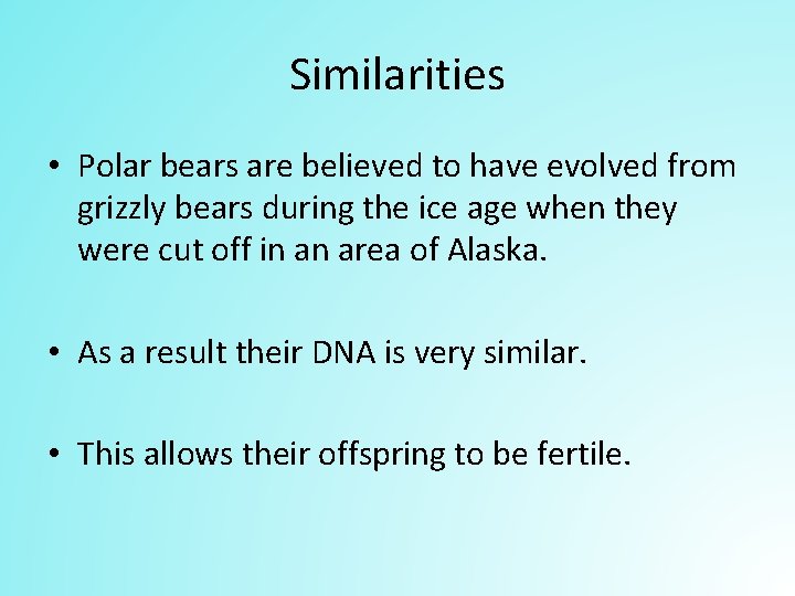 Similarities • Polar bears are believed to have evolved from grizzly bears during the