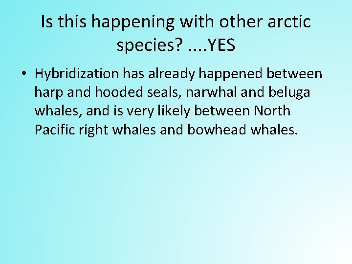 Is this happening with other arctic species? . . YES • Hybridization has already