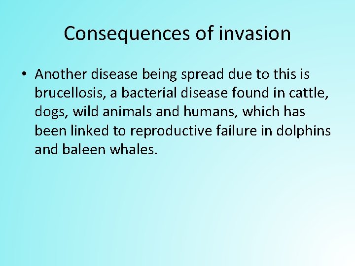 Consequences of invasion • Another disease being spread due to this is brucellosis, a