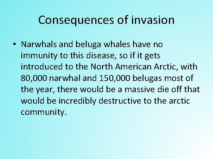 Consequences of invasion • Narwhals and beluga whales have no immunity to this disease,