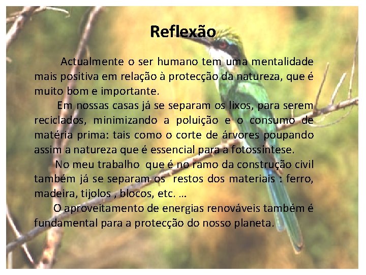 Reflexão Actualmente o ser humano tem uma mentalidade mais positiva em relação à protecção