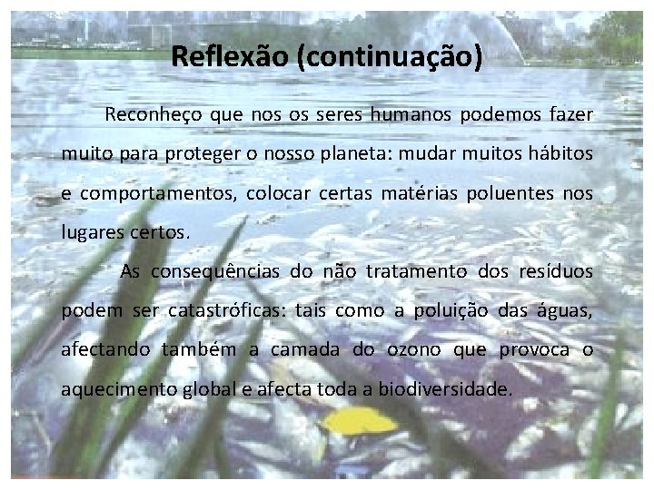 Reflexão (continuação) Reconheço que nos os seres humanos podemos fazer muito para proteger o