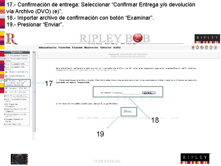17. - Confirmación de entrega: Seleccionar “Confirmar Entrega y/o devolución vía Archivo (DVO) (e)”.
