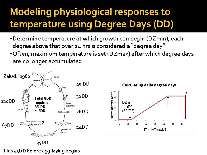 Modeling physiological responses to temperature using Degree Days (DD) • Determine temperature at which