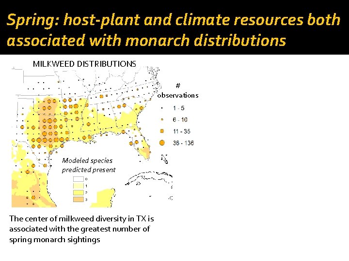 Spring: host-plant and climate resources both associated with monarch distributions MILKWEED DISTRIBUTIONS # observations