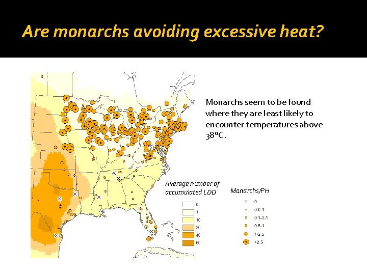 Are monarchs avoiding excessive heat? Monarchs seem to be found where they are least