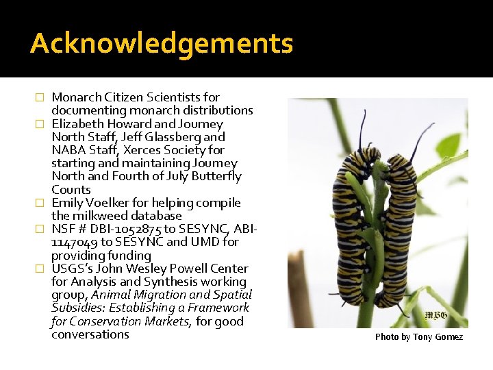 Acknowledgements � � � Monarch Citizen Scientists for documenting monarch distributions Elizabeth Howard and