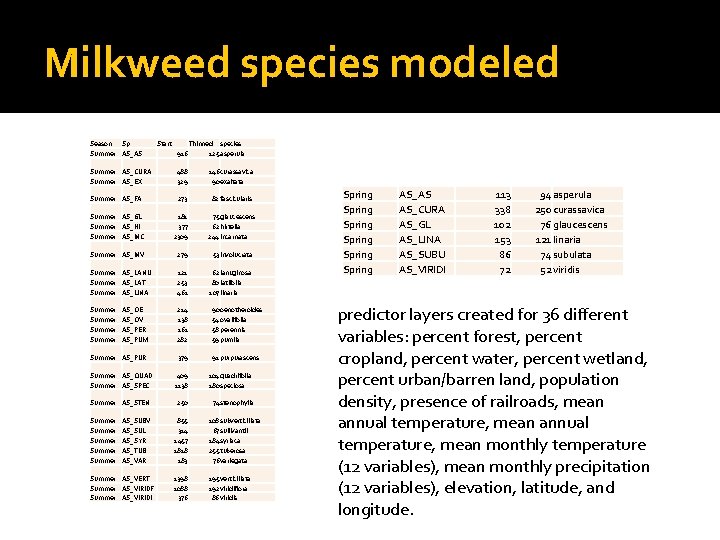Milkweed species modeled Season Sp Summer AS_AS Start 916 Thinned species 125 asperula Summer