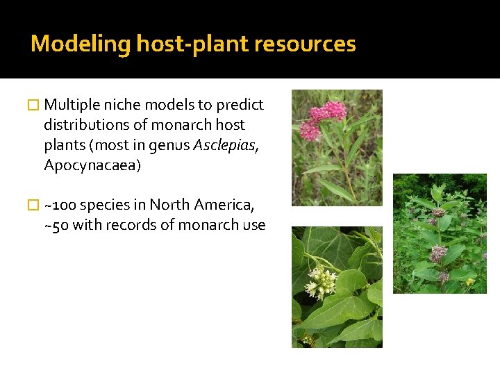 Modeling host-plant resources � Multiple niche models to predict distributions of monarch host plants
