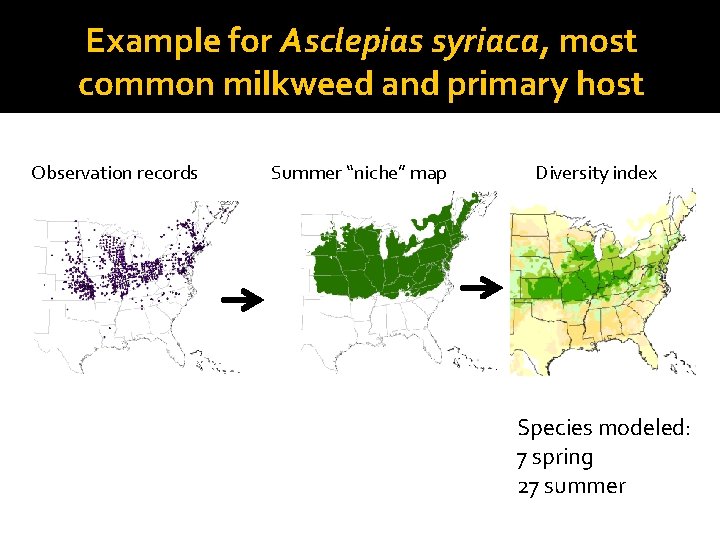 Example for Asclepias syriaca, most common milkweed and primary host Observation records Summer “niche”