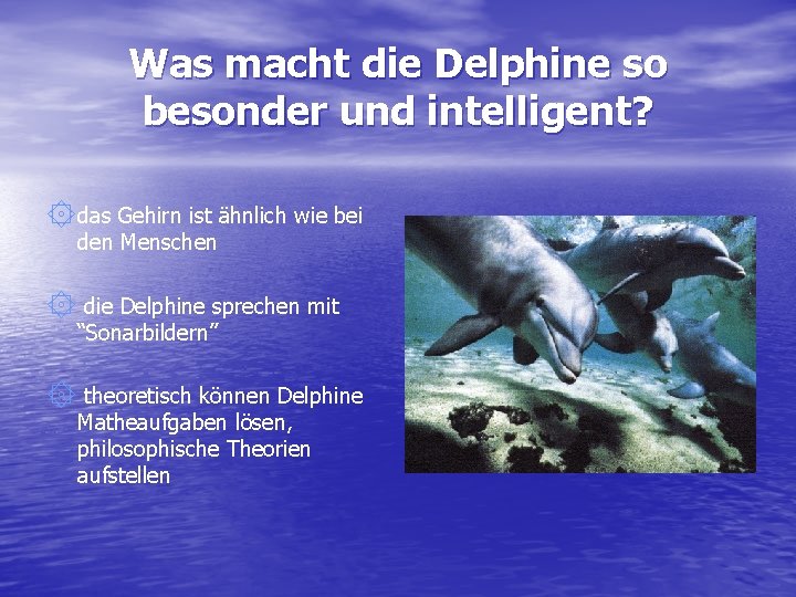 Was macht die Delphine so besonder und intelligent? ۞das Gehirn ist ähnlich wie bei