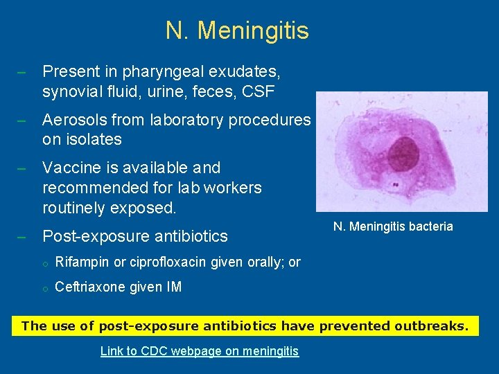 N. Meningitis – Present in pharyngeal exudates, synovial fluid, urine, feces, CSF – Aerosols