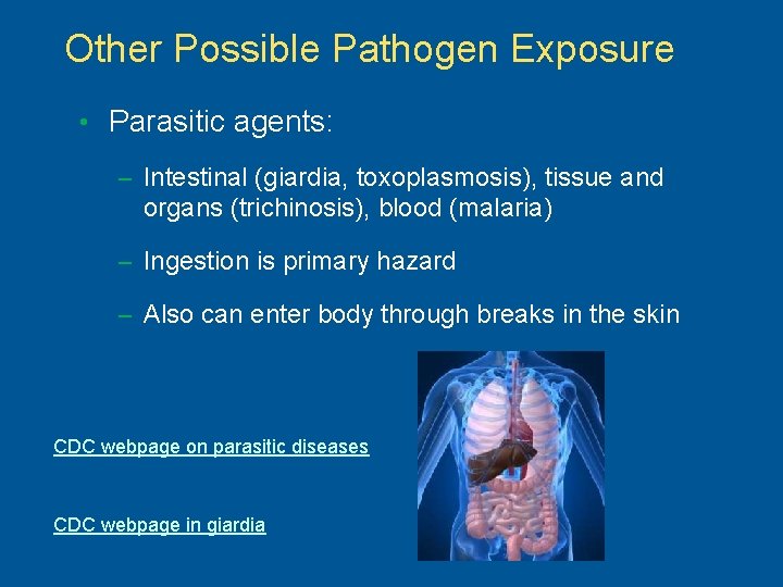 Other Possible Pathogen Exposure • Parasitic agents: – Intestinal (giardia, toxoplasmosis), tissue and organs