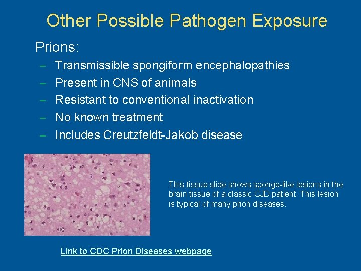 Other Possible Pathogen Exposure Prions: – Transmissible spongiform encephalopathies – Present in CNS of