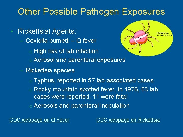 Other Possible Pathogen Exposures • Rickettsial Agents: – Coxiella burnetti – Q fever High