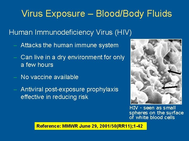 Virus Exposure – Blood/Body Fluids Human Immunodeficiency Virus (HIV) – Attacks the human immune