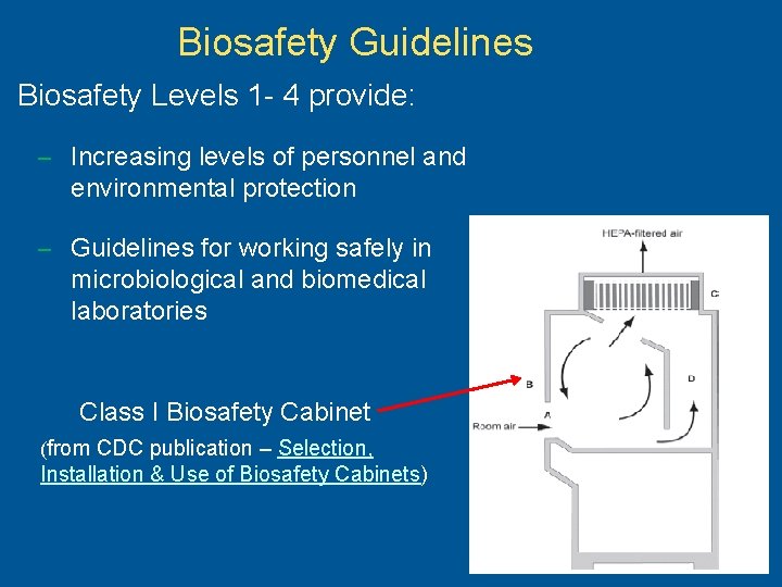 Biosafety Guidelines Biosafety Levels 1 - 4 provide: – Increasing levels of personnel and