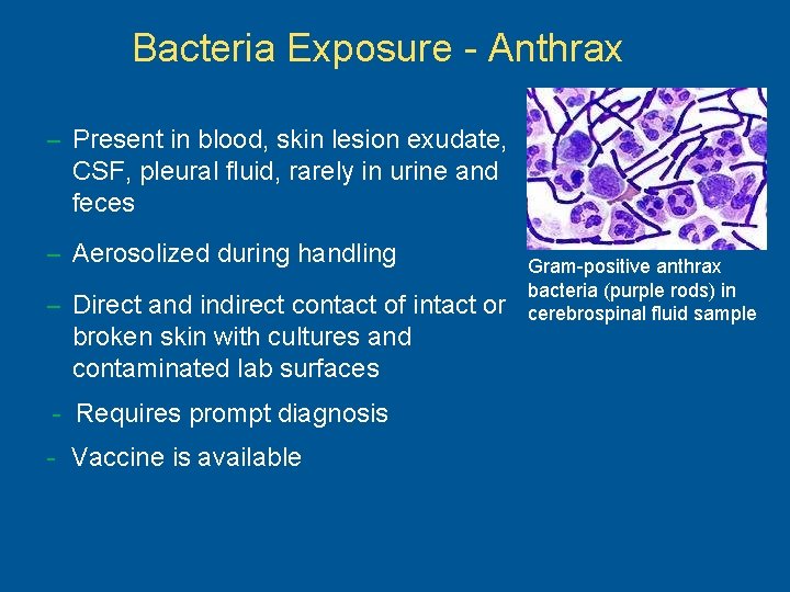 Bacteria Exposure - Anthrax – Present in blood, skin lesion exudate, CSF, pleural fluid,