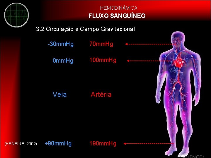 HEMODIN MICA FLUXO SANGUÍNEO 3. 2 Circulação e Campo Gravitacional -30 mm. Hg (HENEINE,