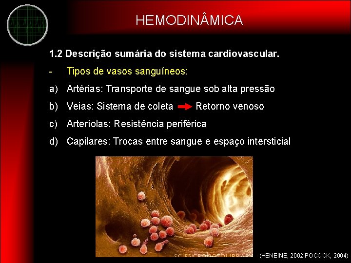 HEMODIN MICA 1. 2 Descrição sumária do sistema cardiovascular. - Tipos de vasos sanguíneos: