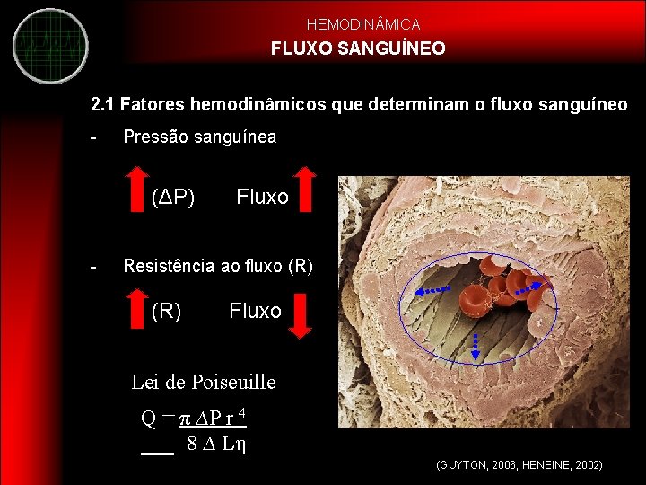 HEMODIN MICA FLUXO SANGUÍNEO 2. 1 Fatores hemodinâmicos que determinam o fluxo sanguíneo -