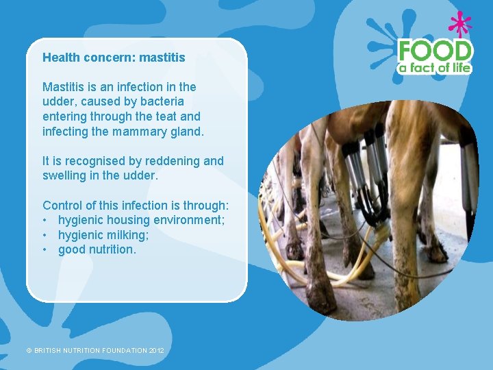 Health concern: mastitis Mastitis is an infection in the udder, caused by bacteria entering